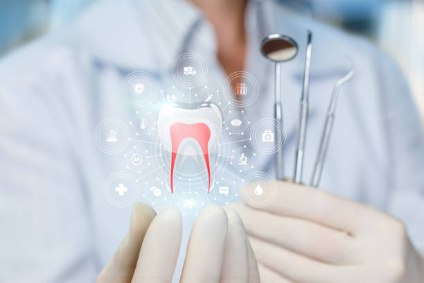Best Cosmetic Dentistry  in Ely, MN